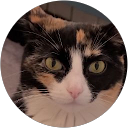 Q Trout profile picture
